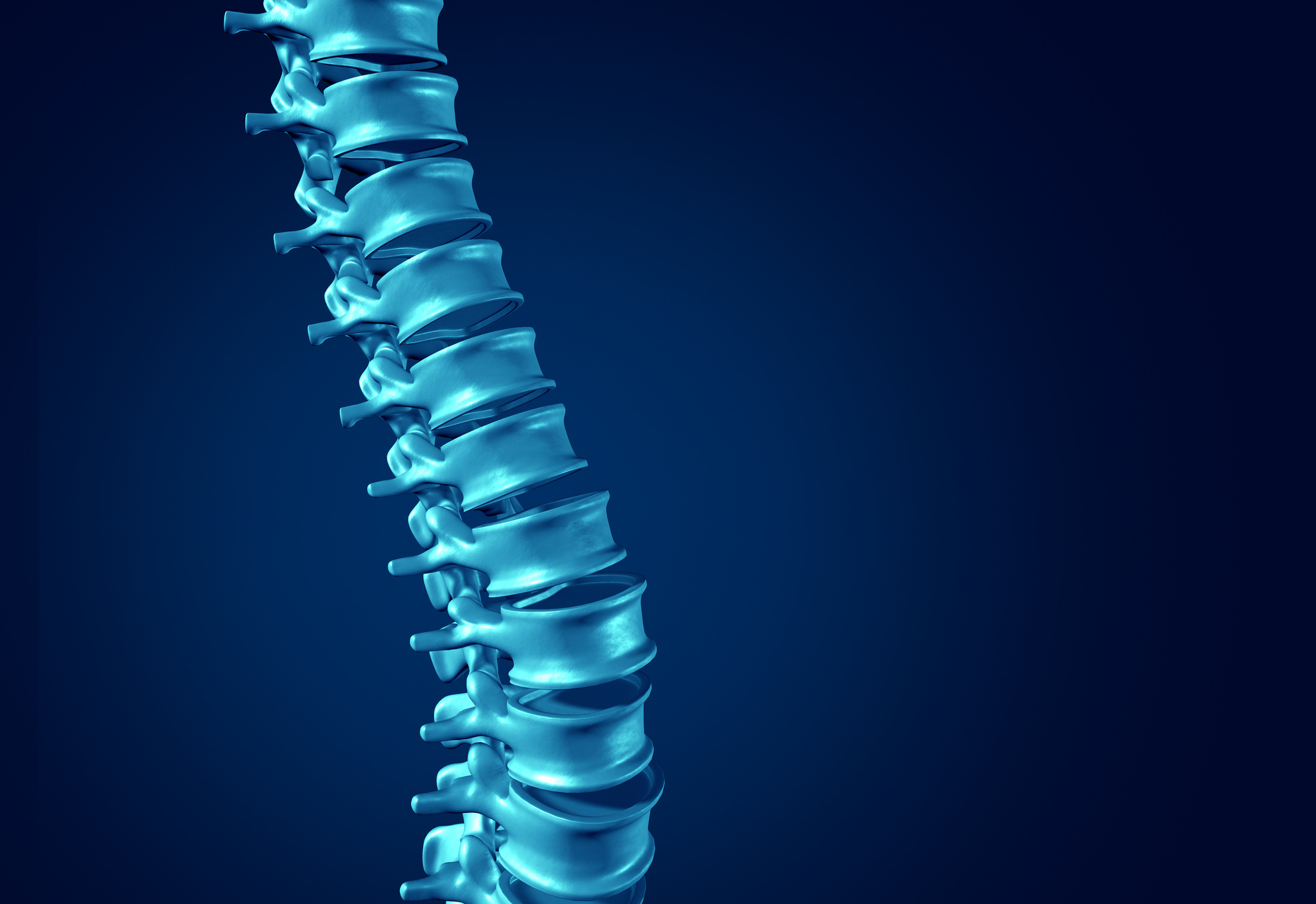 Human Spine Concept